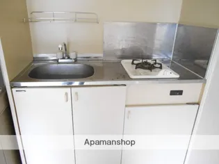 フラワーキャスル【101号室】のキッチン