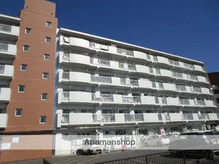 しろひがし住宅2号棟の画像