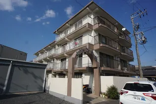 メゾン住吉の画像