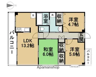フィオーレ観月【501号室】の間取り