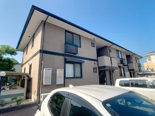 カトルセゾンBの画像