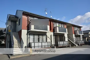 レインボーコートの画像