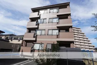 プリムローズマキAの画像