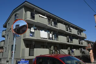 フェニックス林の画像