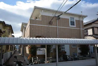 リトルホリデーの画像