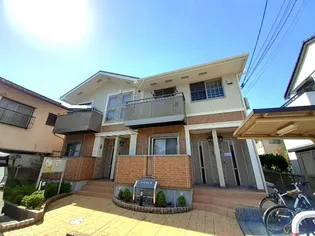 プラターヌの画像