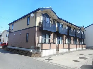 アンジュの画像