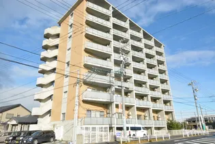 エムズハウス【6階】の外観