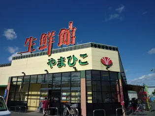 エムズハウス【6階】の周辺