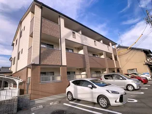 アーリーバードの画像