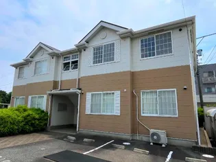 ドルソニオンBの画像