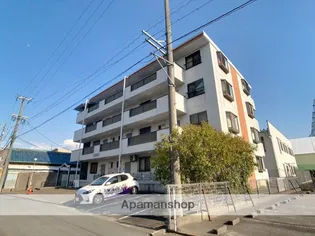 ハイネスマツウラの画像