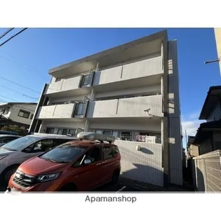 オアシスの画像