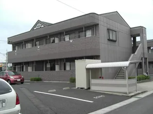 G FOREST Sの画像
