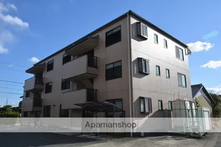 アベリアまのの画像