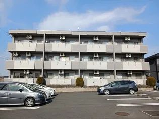 Mグランツの画像