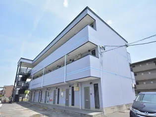 アムールグリシーヌの画像