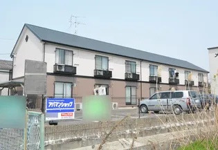 アムールグリシーヌの画像