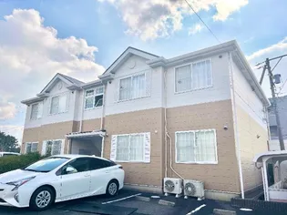 ドルソニオンBの画像