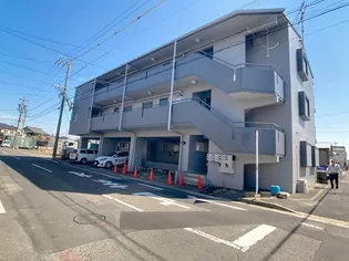 テネラメンテの画像