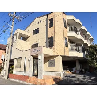 ステラ霞の画像