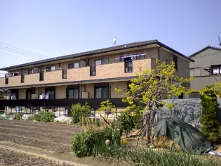 アネックス2の画像