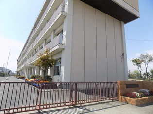 メゾン マリオット【210号室】の周辺