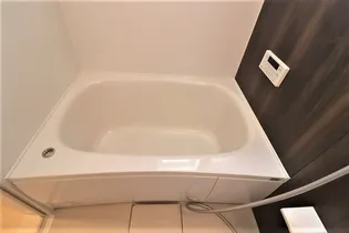 メゾン マリオット【210号室】の風呂