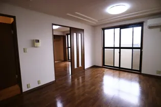 マンションルミナス【203号室】の居間