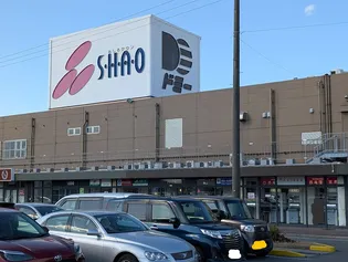 コッティ21【2階】の周辺