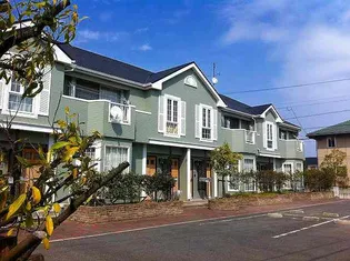 エバー グリーンの画像