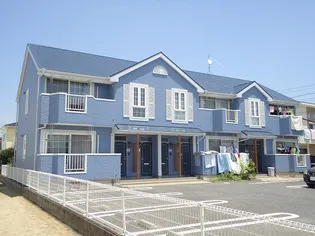 ピーコックBの画像