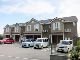 サニーヒルの画像