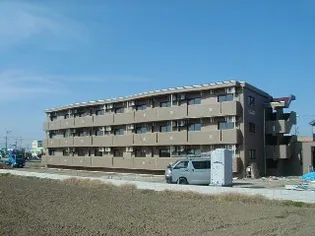 シンシアの画像