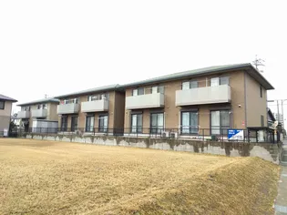 グリーンハット Cの画像