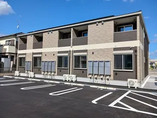 クラスペディアBの画像