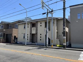 シャムロック桜の画像