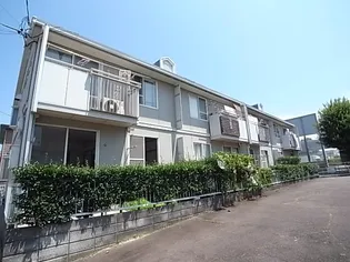 タウニー30の画像