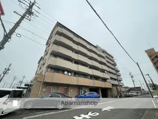 サンライズ入場の画像