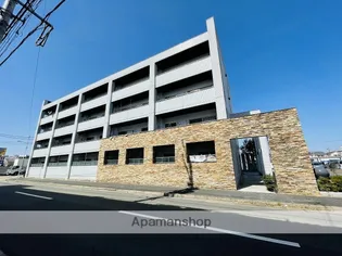 サニースポットの画像