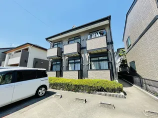 ローバストの画像