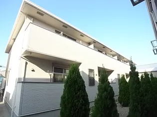 グリシナの画像