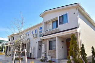 ロベリアの画像