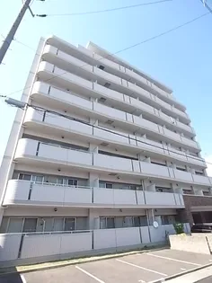 ホワイトドエル道徳の画像