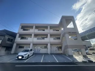 プチキャロルの画像