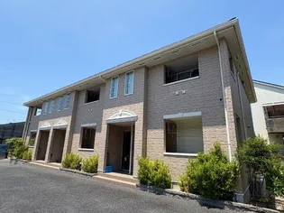 サザンクロスの画像