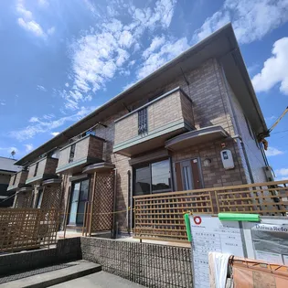 アコルトの画像