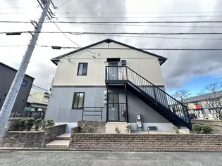 パインウェーブの画像