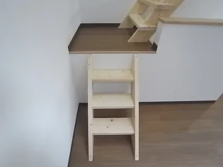 アースクエイク川間【102号室】の内装