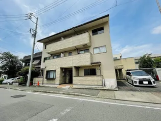 たんぽぽの画像